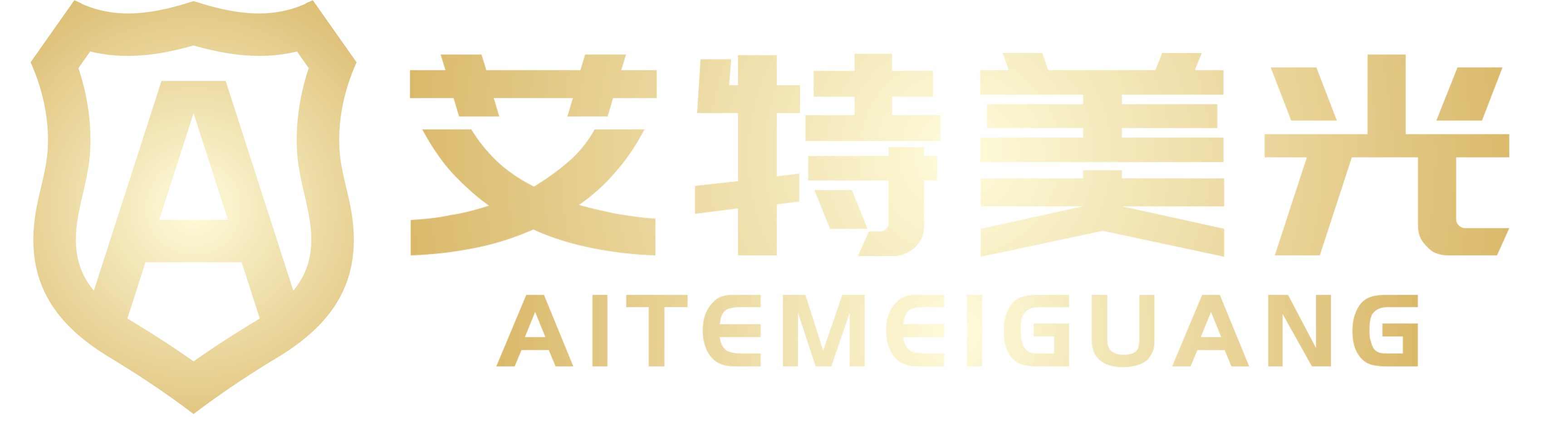 武汉汉艾特美光科技有限公司